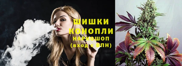 соль ск Нея