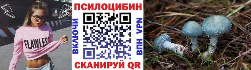 Псилоцибиновые грибы MAGIC MUSHROOMS Кушва