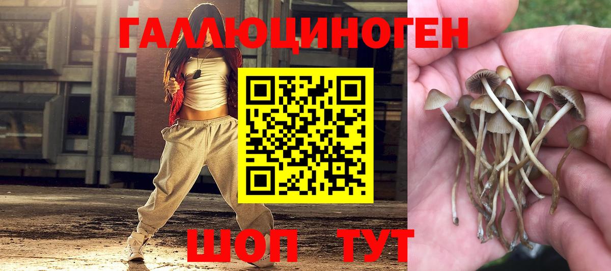 Псилоцибиновые грибы мицелий Кушва