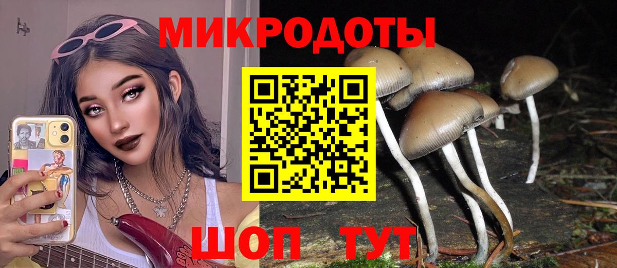 Псилоцибиновые грибы мицелий Кушва