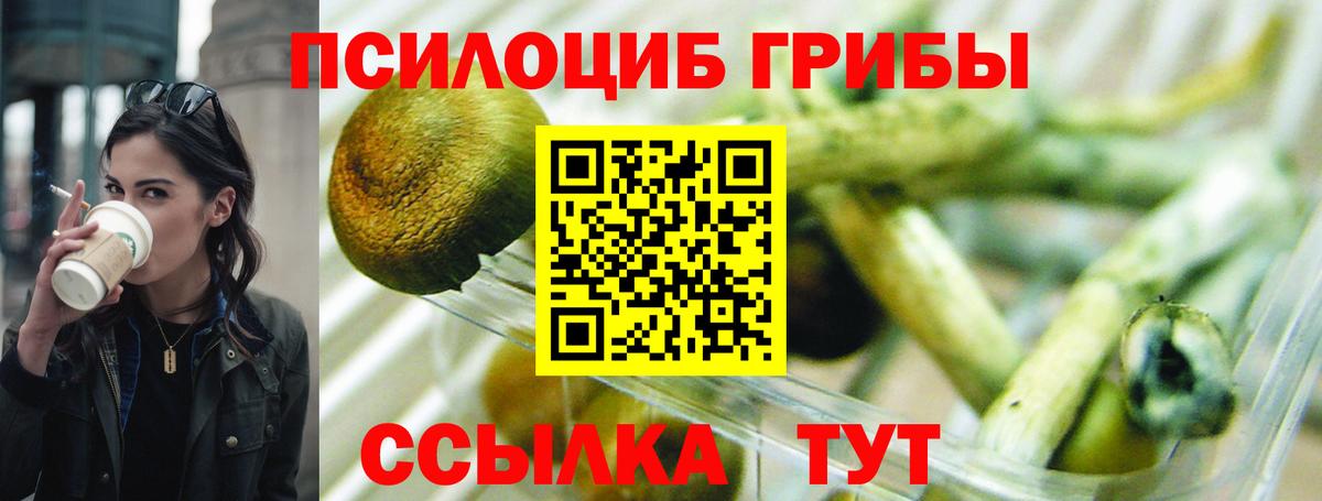 Галлюциногенные грибы мицелий  Галлюциногенные грибы Psilocybe  продажа наркотиков  Вход с VPN  Кушва 
